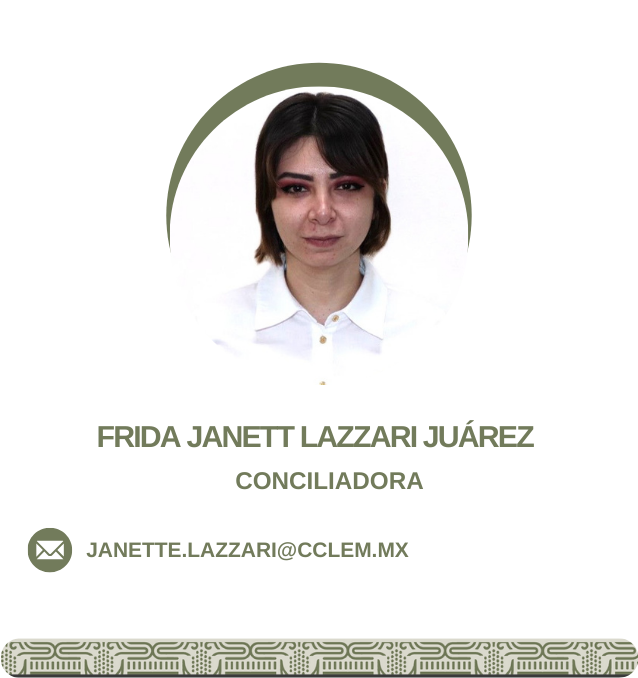 Conciliador 17